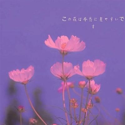 掌舵的巫师手机版下载
